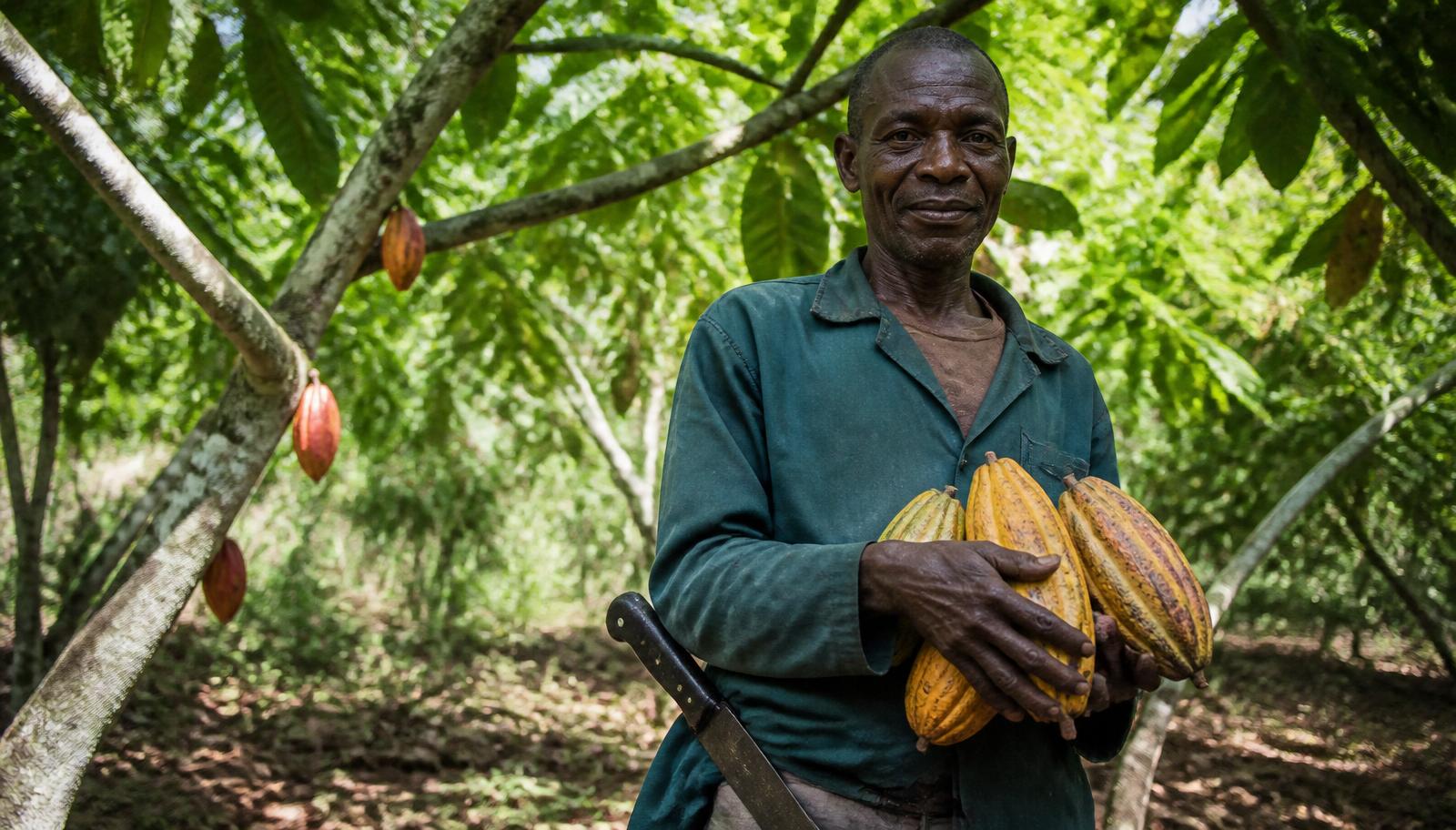 Will Ivory Coast cocoa output exceed 2.0mt in the 2026/27 season?